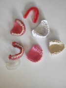 modele zęby szczęki żuchwy dentystyczne edukacyjne pomoce naukowe