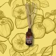 PIGWA - dyfuzor zapachowy