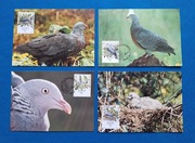 Zestaw 4 szt. widokówki widokówka WWF Portugalia gołąb srebrzysty