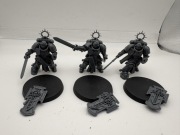 Space Marines bladeguard veterans
