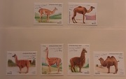 Afganistan 1997 FAUNA Mi 1712-7 lama wielbląd czysty ideał
