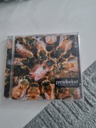 Paradise Lost-Belive In Nothing