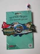 Magnes na lodówkę z Turcji 