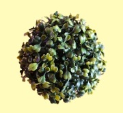 Sztuczne kwiaty, kula z bukszpanu do wyrobu wiązanek, stroików ,15 cm