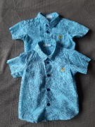 Koszulki Coccodrillo 74