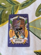Karta kolekcjonerska 3D Harry Potter The Troll