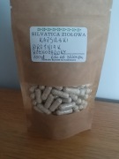 Wrośniak różnobarwny kapsułki 100 szt 