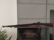  Karabin czarnoprochowy 