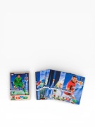 Zestaw Kart Panini Champions League 2013/2014