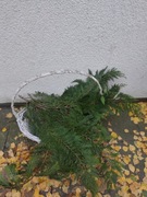 Cyprysik świeże gałązki stroisz