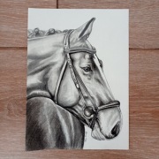 Szkic konia Dzień Matki Urodziny prezent 20x27cm 