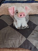 Maskotka pluszowa świnka. 