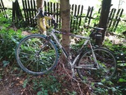 Rower Trek