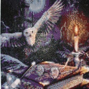 Obraz Harry Potter haft diamentowy : sowa