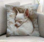 Poszewka na poduszkę Chihuahua 40x40, 45x45, 50x50, 60x60cm 