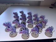 Barbagaunts tyranids