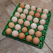 Jaja Wiejskie 30szt Wolny Wybieg