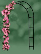 Łuk dekoracyjny, łuk różany 