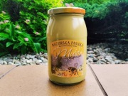 Świeży miód mniszkowy 2024 z Mazur / miodoniada