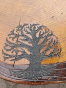 Stolik, z pnia dębu 58 x 53cm OKAZJA !