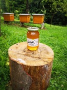 Miód Pszczeli Lipowy 1,200 g, z rodzinnej pasieki