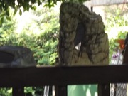 Sprzedam 3 duże groty do akwarium