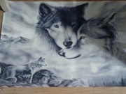 Obraz na płótnie Wilki 50x70 cm. Druk komputerowy 