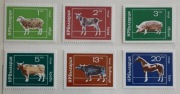 Bułgaria  1974  FAUNA Mi 2319-24  koza krowa koń czysty ideał