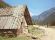 TATRY --- POLANA CHOCHOŁOWSKA --- SZAŁASY --- 1977