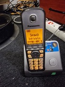 Telefon bezprzewodowy Panasonic KX-TG6711PD