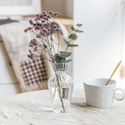 Przezroczysty szklany wazon, hydroponiczny pojemnik do uprawy.