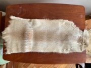 Skóry wygarbowane z nutrii – naturalne, vintage, różne długości