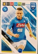 fifa365 2019 team mate 