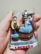 Zagraniczny magnes na lodówkę LOGRONO Hiszpania