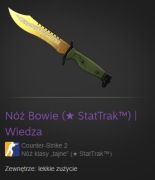 Bowie Knife Lore STATRAK MW
