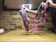 Kantar start elegance, rozmiar COB