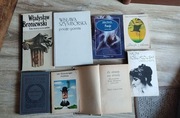 Poezje Klasyka Szymborska Słowacki Pawlikowska-Jasnorzewska inne ZESTAW