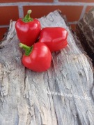 Papryka mini truskawkowa łagodna