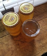 Miód Lipowo-akacjowy