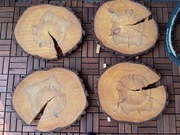 Podkładki SOSNOWE - ozdoba weselna,