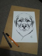 Rysunek: pies- cienkopis, A4, 250g/m2