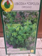 Lebiodka pospolita / Oregano