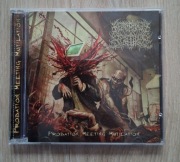 Necrophilic Beatdown - Probation Meeting Mutilation 