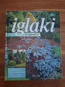 Iglaki w ogrodzie
