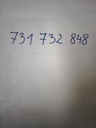 Złoty numer łatwy prosty 731-732-848