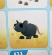 Rat adopt me roblox