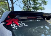 Spoiler lotka do Peugoet 206