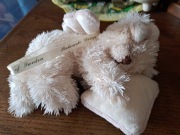 Bukowski aniołek misiu