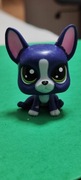 Littlest pet shop Buldog francuski  #Abner