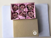 Sześć zabytkowych porcelanowych róż Rudolfa Kammera z oryginalnym pudełkiem